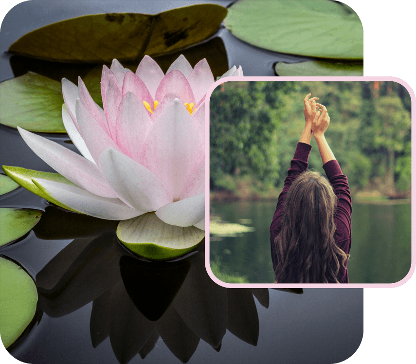 Картинки застанали една до друга описващи мицията а компанията