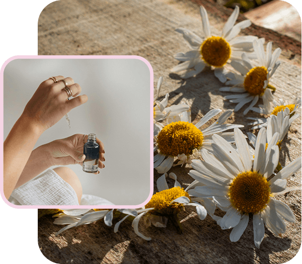 Картинки застанали една до друга описващи мицията а компанията