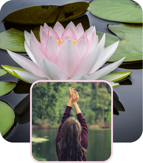 Картинки мобилна версия застанали една над друга описващи мицията а компанията